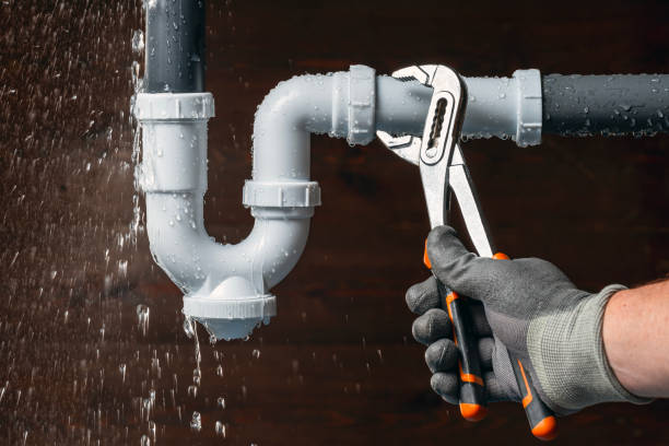 Professional Emergency Plumber technician working in Centreville, MI